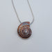 Spiral Shell