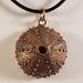 Bronze Sea Urchin