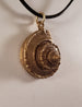Bronze Spiral Shell