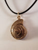 Bronze Spiral Shell