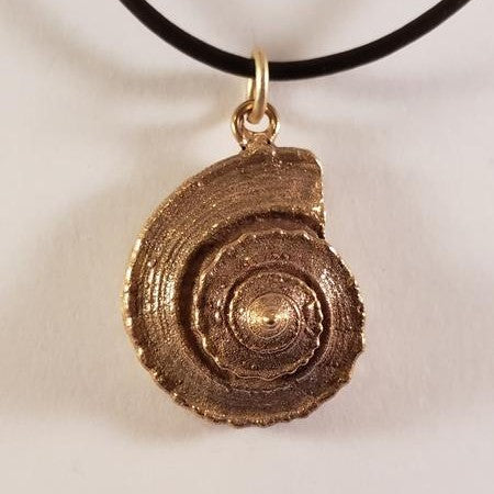 Bronze Spiral Shell