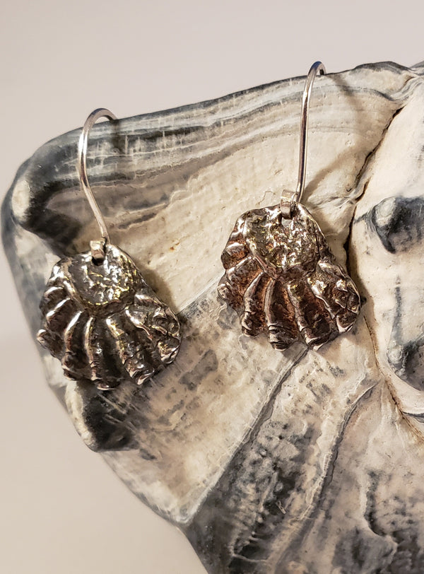 Pearl Oyster Shell Earrings (Silver)